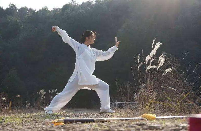 56式陈式太极拳教学