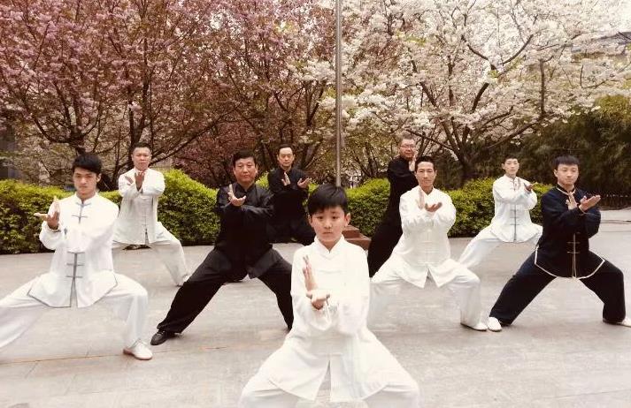 陈式太极拳